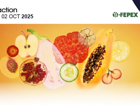 Looking to optimize your packaging? Discover ULMA Packaging’s solutions at Fruit Attraction 2025