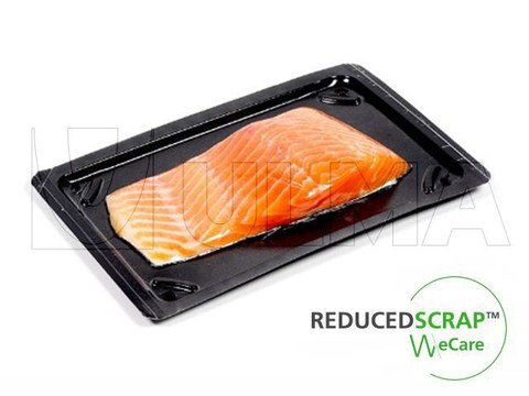Fresh salmon packing in skin thermoforming