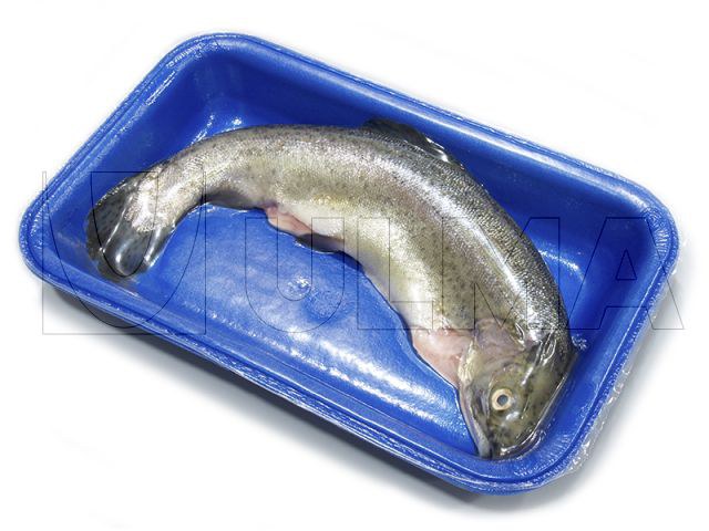 Fresh whole fish packaging in traysealing in skin pack — ULMA