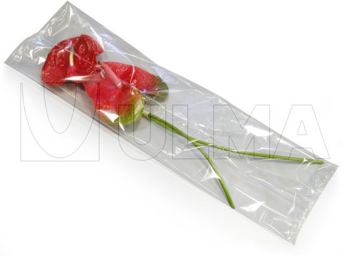 Flowers (Anthurium) packaging in flow pack wrapper (HFFS)