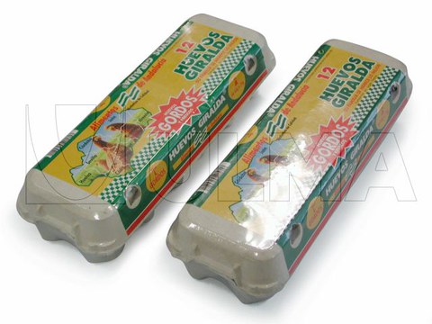 Eggs cartons packaging in flow pack wrapper (HFFS)