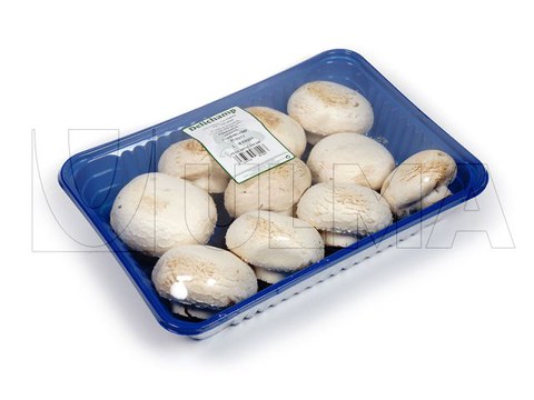 Mushrooms packaging in traysealing