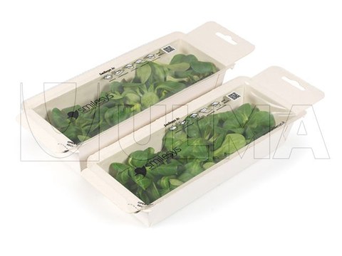 Vegetables, herbs, fruits and dry fruits packaging in traysealed carton tray