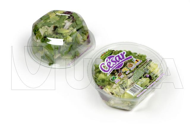 https://www.ulmapackaging.com/en/packaging-solutions/produce/processed-and-ready-to-eat-herbs-pickles/packing-in-tray-sealing-of-ready-to-it-fresh-salad/1514_1.jpg/@@images/d175f71a-cfbd-4da0-af2e-31501af8c14b.jpeg