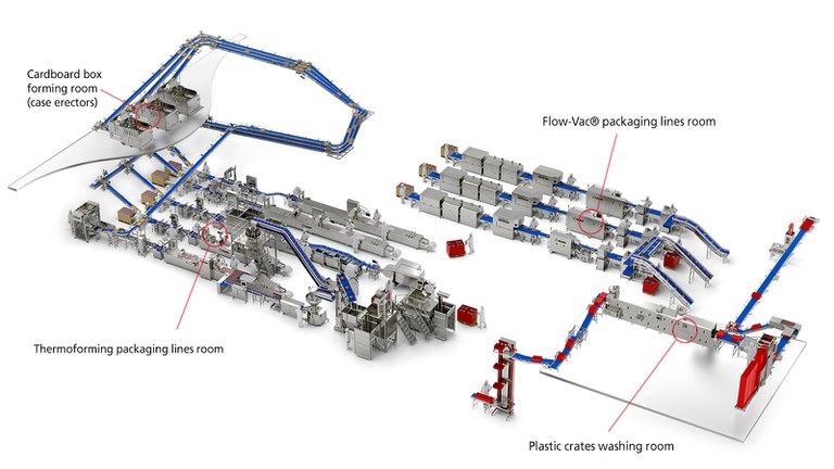 Coral ret con leyendas EN.jpg