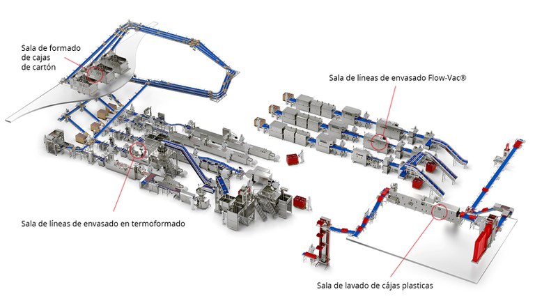 Coral ret con leyendas.jpg