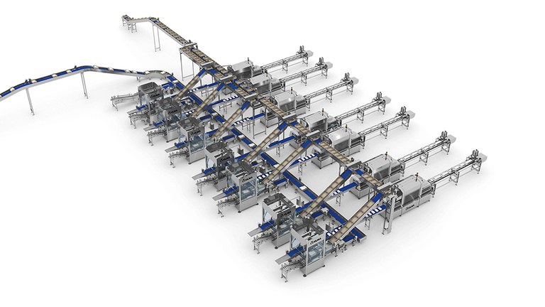 Termosellado pollo encajado BRD.jpg