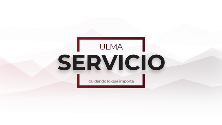 ULMA Packaging - Servicio: cuidando lo que importa