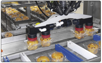 Groupping chain with robot for muffins