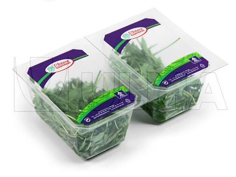 Envasado de rúcula en termosellado con atmósfera modificada (MAP)