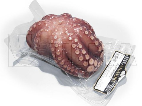 Envasado de pulpo entero en termoformado al vacío