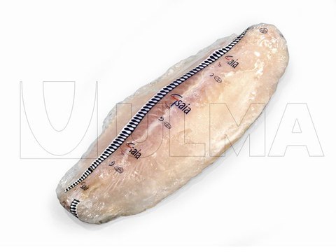 Envasado de porciones de pescado congelado en flow pack (hffs)